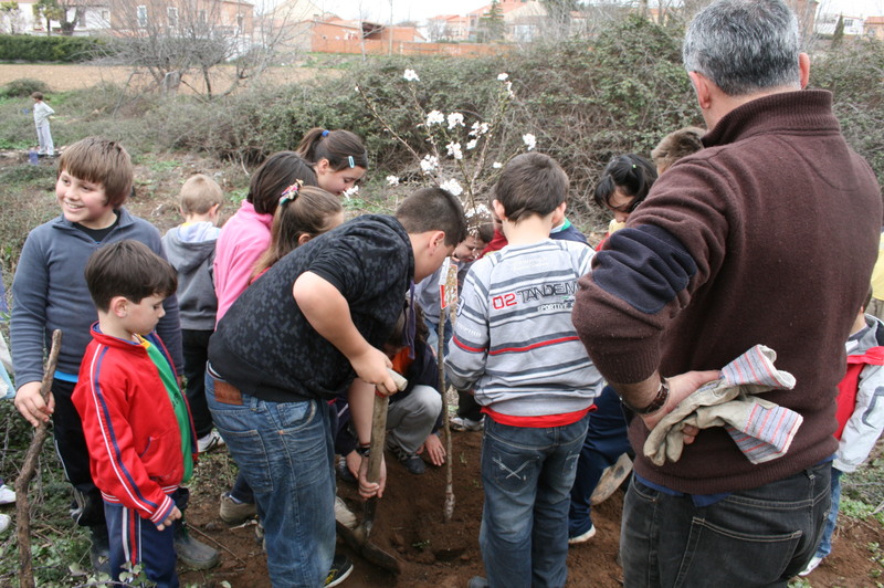 Repoblaciones forestales anuales con especies autctonas en el Da del Arbol